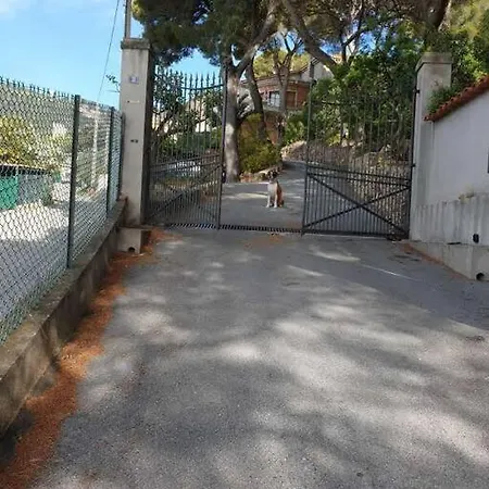 Avec Belle Prestation Frontaliere A Monaco