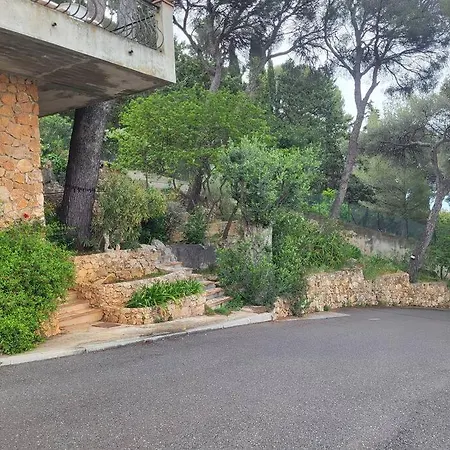 Avec Belle Prestation Frontaliere A Monaco Daire