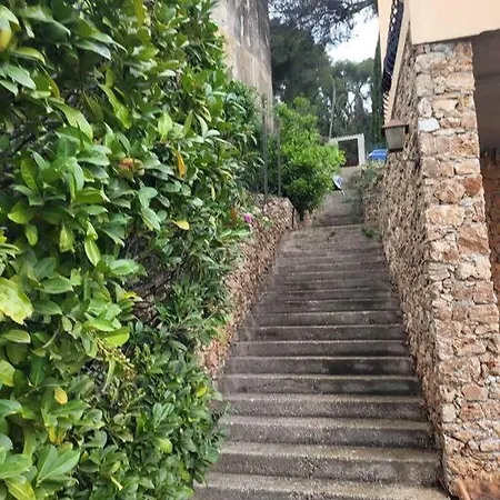 Avec Belle Prestation Frontaliere A Monaco