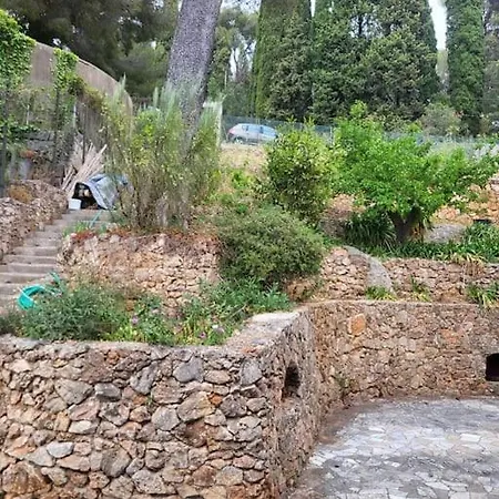 Avec Belle Prestation Frontaliere A Monaco * Beausoleil